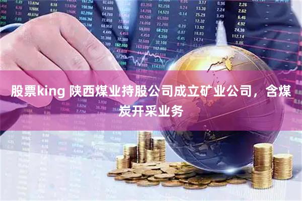 股票king 陕西煤业持股公司成立矿业公司，含煤炭开采业务